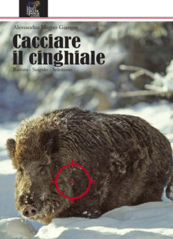 Cacciare il Cinghiale