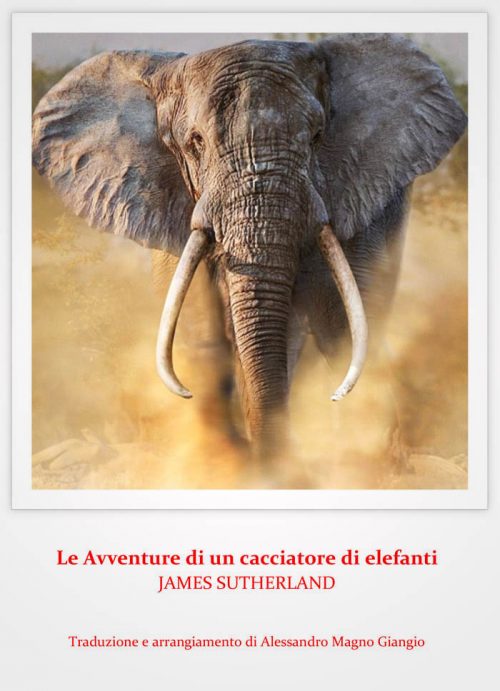 Le Avventure di un cacciatore di elefanti